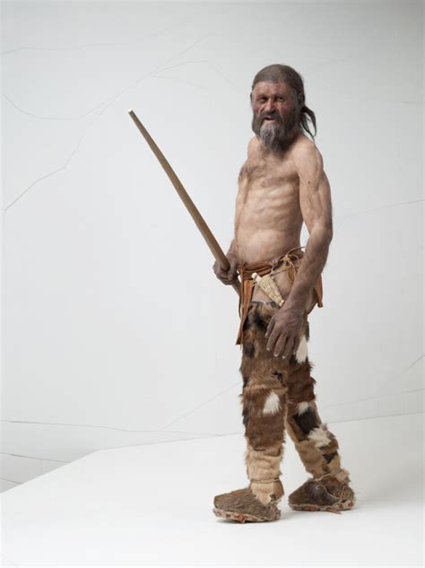 New tattoos found on Otzi the Iceman support prehistoric acupuncture theory | IBTimes UK