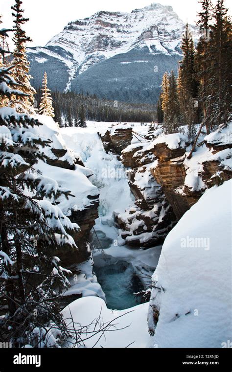 Athabasca Falls on the Icefields Highway, winter Stock Photo - Alamy