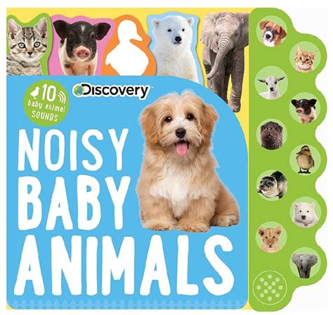 Noisy Baby Animals – 10 animal Sounds book – – Booky Wooky