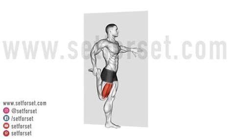 Top 12 Vastus Lateralis Exercises & Stretches - SET FOR SET