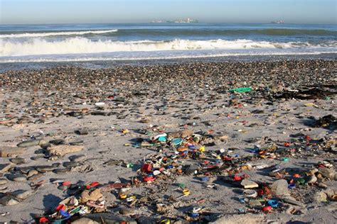 Plastic pollution piling into our oceans > McDaniel College BudapestMcDaniel College Budapest