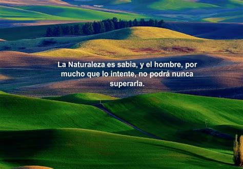 Paisajes de amor con frases | Imagenes de amor gratis