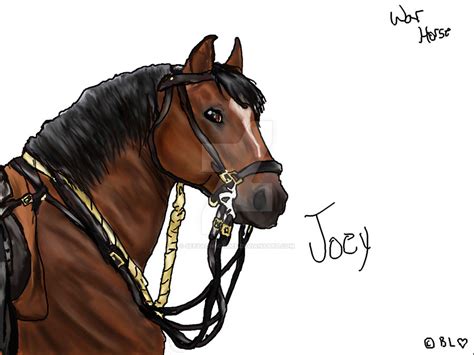 War Horse Joey (with no background) by SeeYaOnSondee on DeviantArt