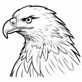 Ultra Realistic Eagle Head Coloring Page Stock Illustration  sketch template