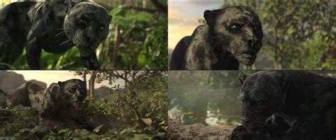 Mowgli-Bagheera Montage 4 by GiuseppeDiRosso on DeviantArt