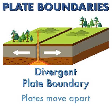 Free Vector | Divergent plate boundary with explanation