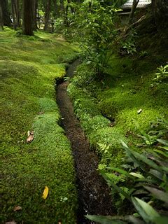 Cool stream at Kokedera | at Saiho-ji, also known as Kokeder… | Flickr