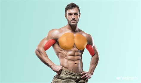 The Ultimate Chest and Bicep Workout to Feel the Pump - Welltech