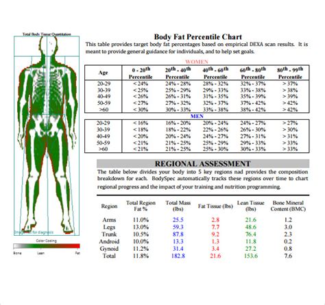 FREE 7+ Sample Body Fat Percentage Chart Templates in PDF | MS Word