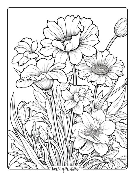 Free Printable Flower Coloring Sheets