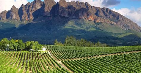 From Cape Town: Full-Day Cape Winelands Tour | GetYourGuide