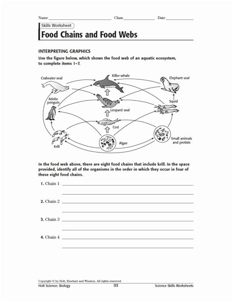 50 Food Web Worksheet Answer Key