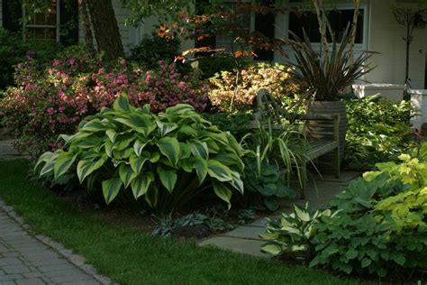 How to Plant and Grow Gorgeous, Shade-Loving Hosta Plants | Dengarden