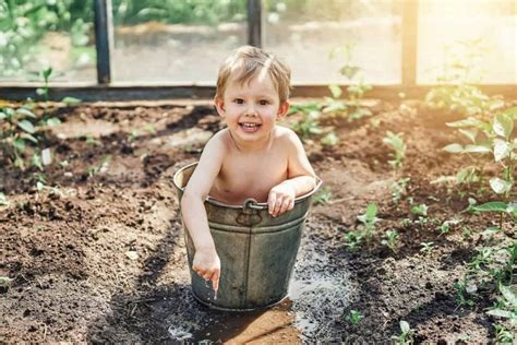 The Pros And Cons Of Metal Raised Garden Beds