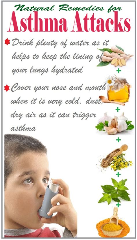 Home Remedies for Asthma | Home remedies for asthma, Natural asthma ...