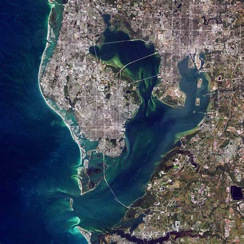 4 Billion Bits of Microplastics in the Waters of Tampa Bay