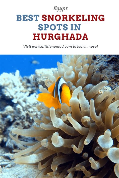 Hurghada Snorkeling Guide: 7 Best Snorkel Spots | A Little Nomad