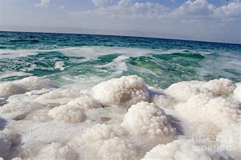 Salt, Dead Sea, Jordan Photograph by Adam Sylvester