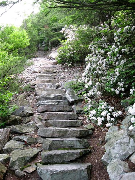 1000 Steps hiking trail | Pennsylvania travel, Camping in pennsylvania ...