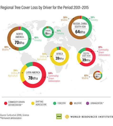 A New Study Reveals Global Drivers of Deforestation - Pacific Standard | Deforestation ...