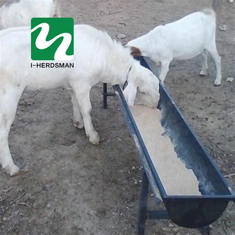 Feed Trough For sheep Drinking Water Trough drinker water bowl drinking trough for sheep goat ...