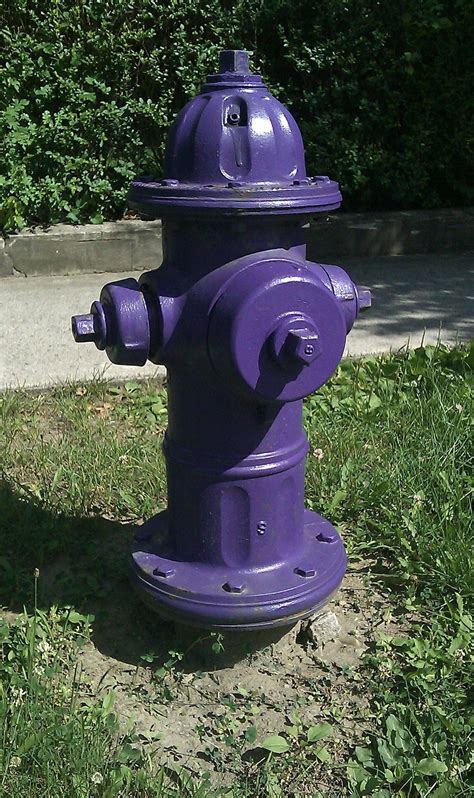 TIL the colors of fire hydrants display the amount of water they ...