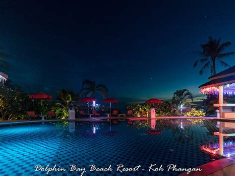 Dolphin Bay Beach Resort Pool: Pictures & Reviews - Tripadvisor