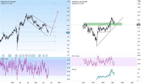 BTG Stock Price and Chart — AMEX:BTG — TradingView