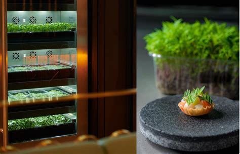 Earth Day: How MICHELIN Green Star Restaurants In Asia Are Doing Their Part With Sustainable ...
