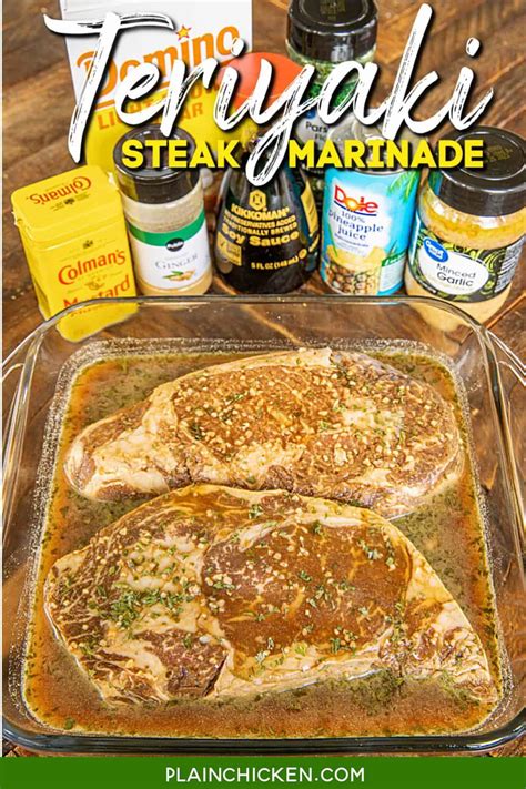 Teriyaki Steak Marinade - Plain Chicken