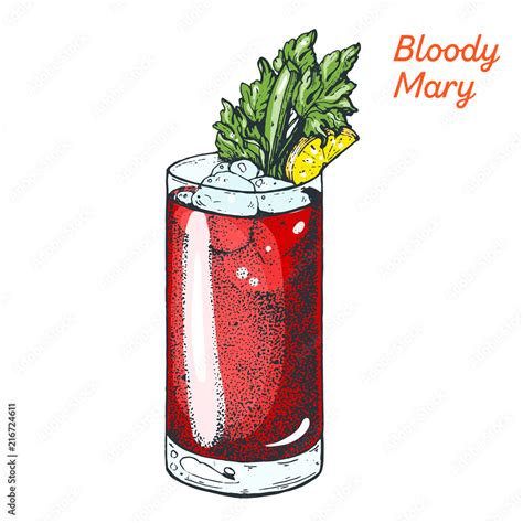 Bloody Mary cocktail illustration. Alcoholic cocktails hand drawn ...