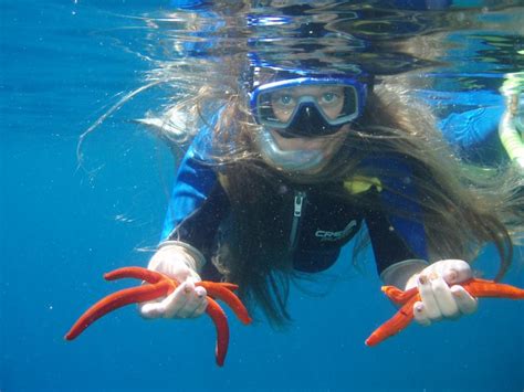 Zakynthos under water | Snorkeling, Kayaking, Zakynthos