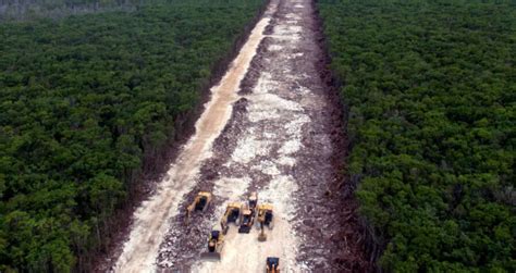 Ancient Maya City Halts Construction Of Mexican Railroad