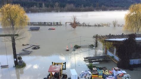 Pemberton residents begin cleanup after heavy flooding | CBC News