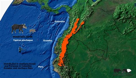 t_pinchaque-mountain-tapir-range-map | Tapir Specialist Group