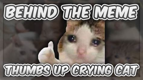 Cat Crying Thumbs Up Meme / What is the meme generator?