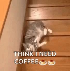 Need Coffee GIFs | Tenor