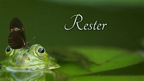 How to pronounce rester in French - YouTube