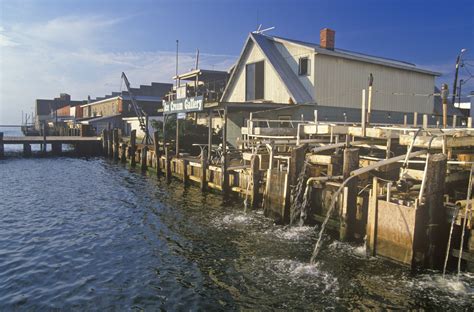 Visita Crisfield: scopri il meglio di Crisfield, Maryland, nel 2023 ...