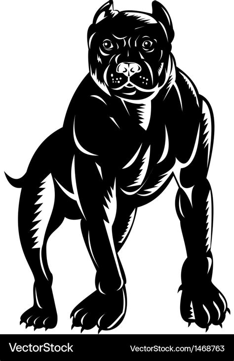 Pitbull dog Royalty Free Vector Image - VectorStock