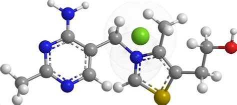 The Role Of Thiamine In Our Life - Ezilon Articles