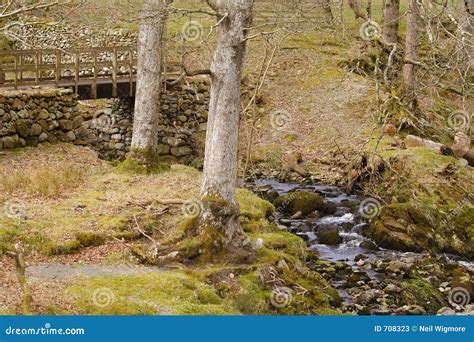 Babbling Brook stock image. Image of autumn, stream, frothing - 708323