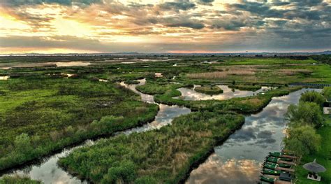 În Delta Dunării este o atmosferă magică și liniștită acum - Descopera Dobrogea