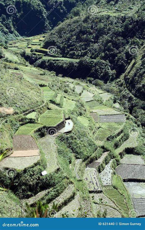 Central Cordillera Rice Terraces Philippines Stock Photo - Image: 631440