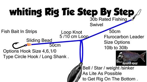 Whiting Rig Fishing Rigs Pre Tie Tutorial Step by Step Rigging