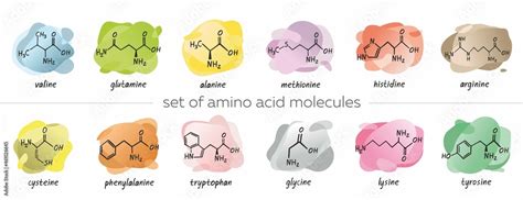 Set of chemical formula of the amino acids is isolated on colorful abstract background. Symbols ...