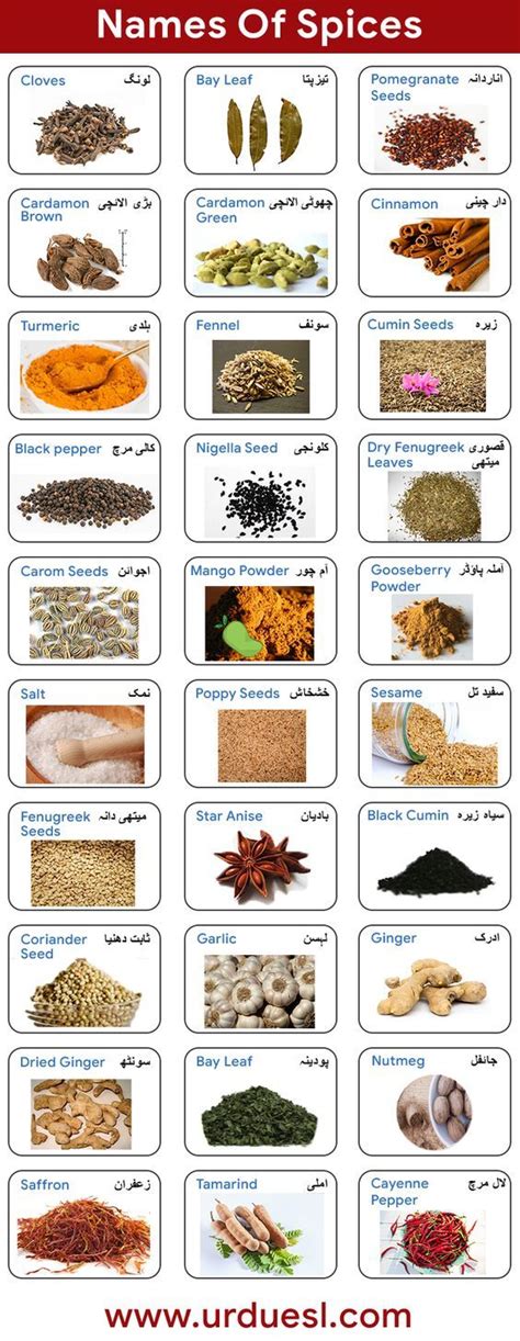 Learn Spices Names in English