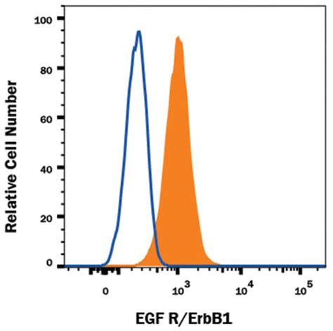 Human EGFR Antibody, R D Systems 100ug; Unlabeled:Antibodies, Monoclonal | Fisher Scientific