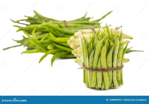 Guar or Cluster Bean with Others Vegetables Stock Image - Image of ...