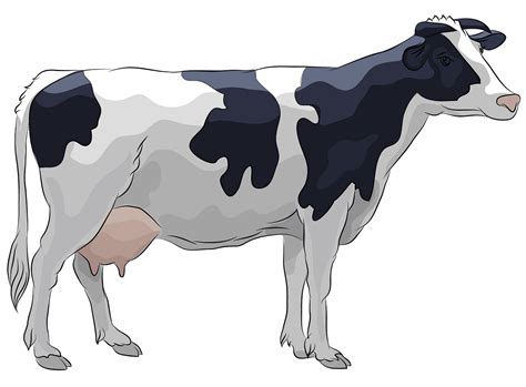 cow clipart - Clip Art Library